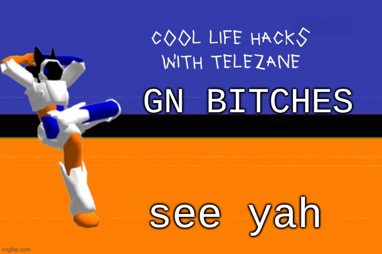 cool life hacks with telezane | GN BITCHES; see yah | image tagged in cool life hacks with telezane | made w/ Imgflip meme maker