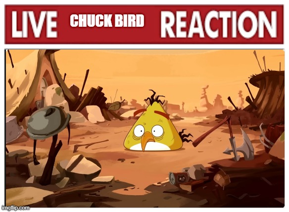 Live Chuck Bird Reaction | CHUCK BIRD | image tagged in live x reaction | made w/ Imgflip meme maker