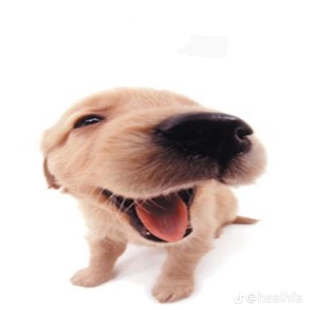 Me when Blank Meme Template