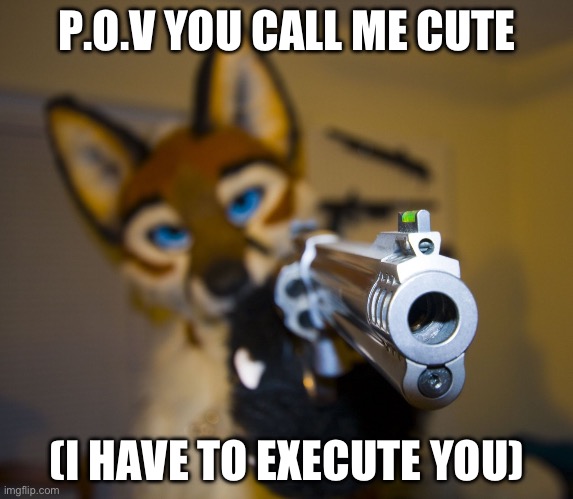 Real | P.O.V YOU CALL ME CUTE; (I HAVE TO EXECUTE YOU) | image tagged in furry with gun | made w/ Imgflip meme maker