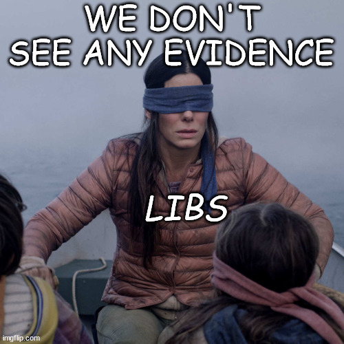 Bird Box Meme | LIBS WE DON'T SEE ANY EVIDENCE | image tagged in memes,bird box | made w/ Imgflip meme maker