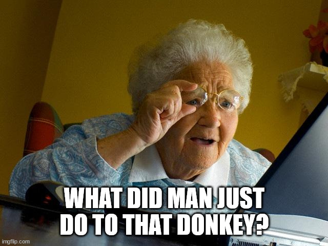 Grammy's big "WTF Internets?" Moment | WHAT DID MAN JUST DO TO THAT DONKEY? | image tagged in memes,grandma finds the internet | made w/ Imgflip meme maker