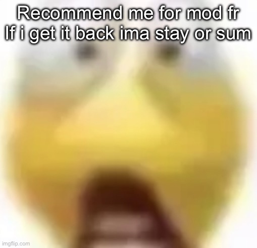 Shocked | Recommend me for mod fr
If i get it back ima stay or sum | image tagged in shocked | made w/ Imgflip meme maker