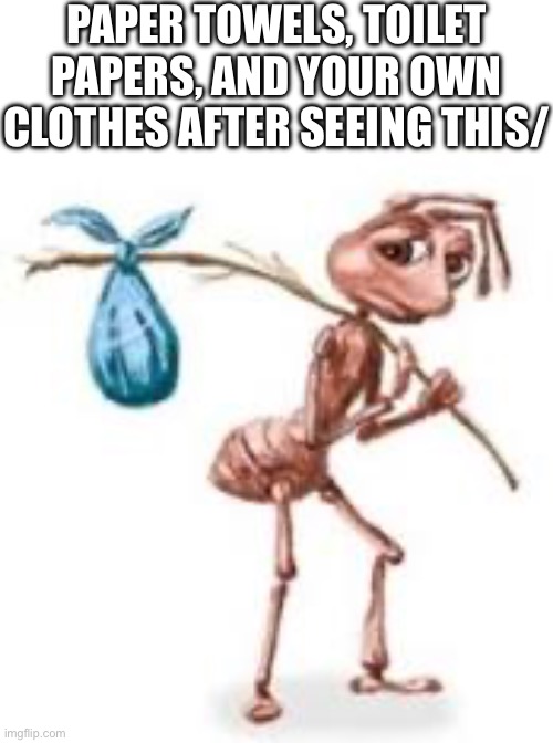Sad ant with bindle | PAPER TOWELS, TOILET PAPERS, AND YOUR OWN CLOTHES AFTER SEEING THIS/ | image tagged in sad ant with bindle | made w/ Imgflip meme maker