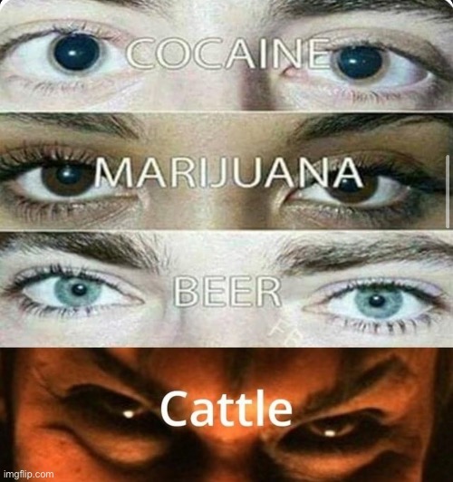 You’re a real one if you understand what it’s from | made w/ Imgflip meme maker