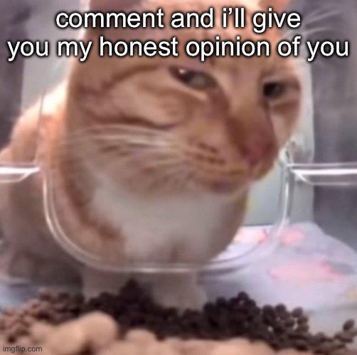 side eye | comment and i’ll give you my honest opinion of you | image tagged in side eye | made w/ Imgflip meme maker