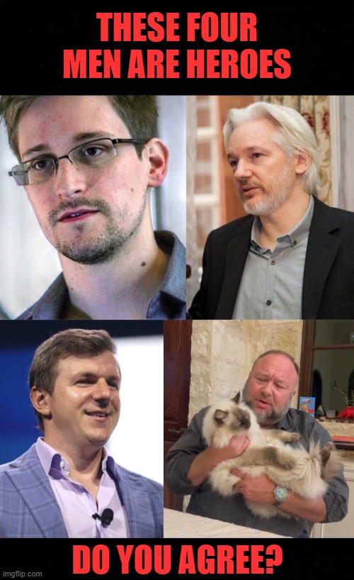 do you agree? | THESE FOUR MEN ARE HEROES; DO YOU AGREE? | image tagged in alex jones,julian assange,james okeefe,edward snowden,heroes,deep state | made w/ Imgflip meme maker