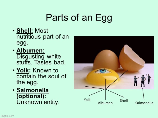 eg g | image tagged in eggs,egg | made w/ Imgflip meme maker