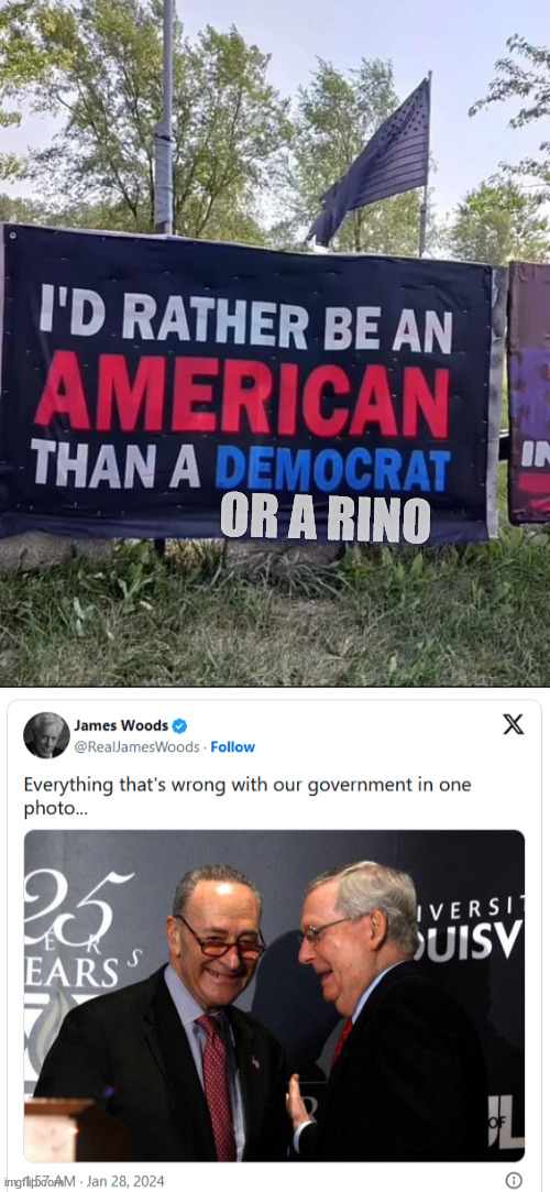 Be an American... never a democrat or rino | OR A RINO | image tagged in never democrat or rino,be an american | made w/ Imgflip meme maker