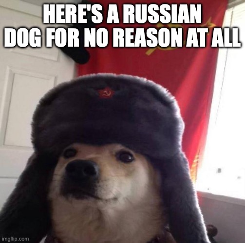 Russian Doge | HERE'S A RUSSIAN DOG FOR NO REASON AT ALL | image tagged in russian doge | made w/ Imgflip meme maker