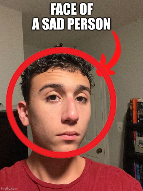 FACE OF A SAD PERSON | made w/ Imgflip meme maker