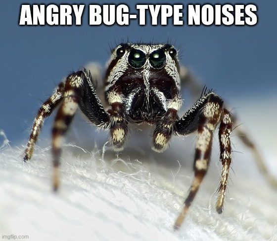 Angry Spider Noises | ANGRY BUG-TYPE NOISES | image tagged in angry spider noises | made w/ Imgflip meme maker