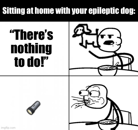 Wawa (shitpost) | Sitting at home with your epileptic dog:; “There’s nothing to do!”; 🔦 | image tagged in blank cereal guy | made w/ Imgflip meme maker