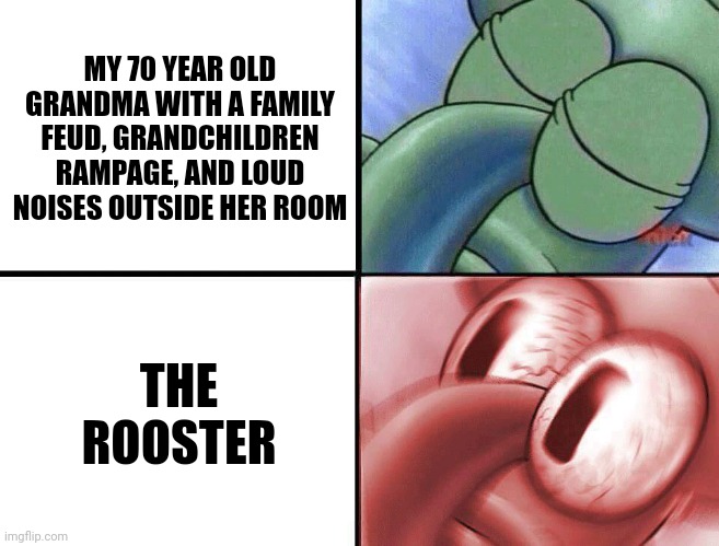 Big sleep | MY 70 YEAR OLD GRANDMA WITH A FAMILY FEUD, GRANDCHILDREN RAMPAGE, AND LOUD NOISES OUTSIDE HER ROOM; THE ROOSTER | image tagged in sleeping squidward,memes,funny,family reunion,grandma | made w/ Imgflip meme maker