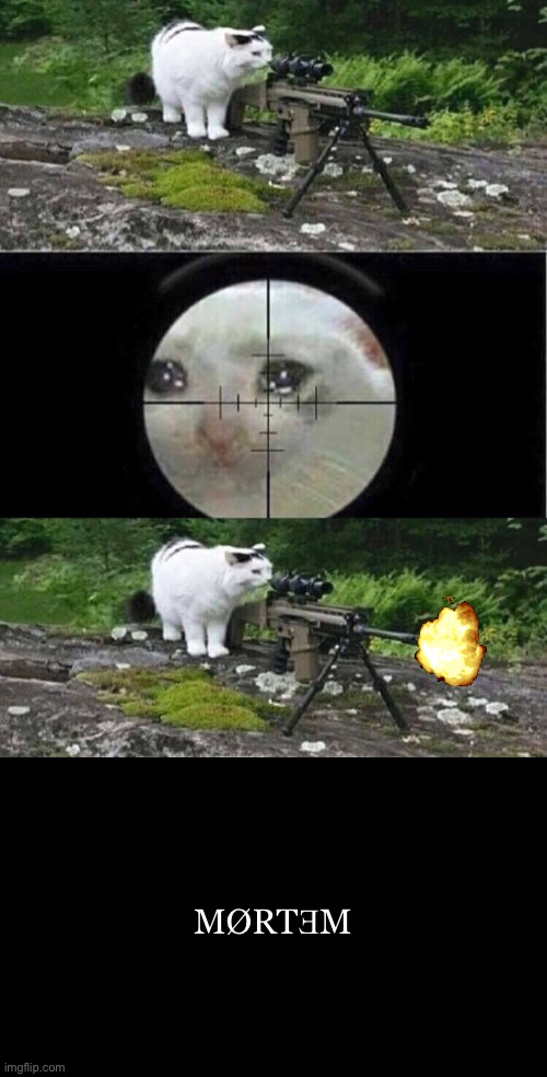 MØRTƎM | image tagged in sniper cat,memes,latin | made w/ Imgflip meme maker