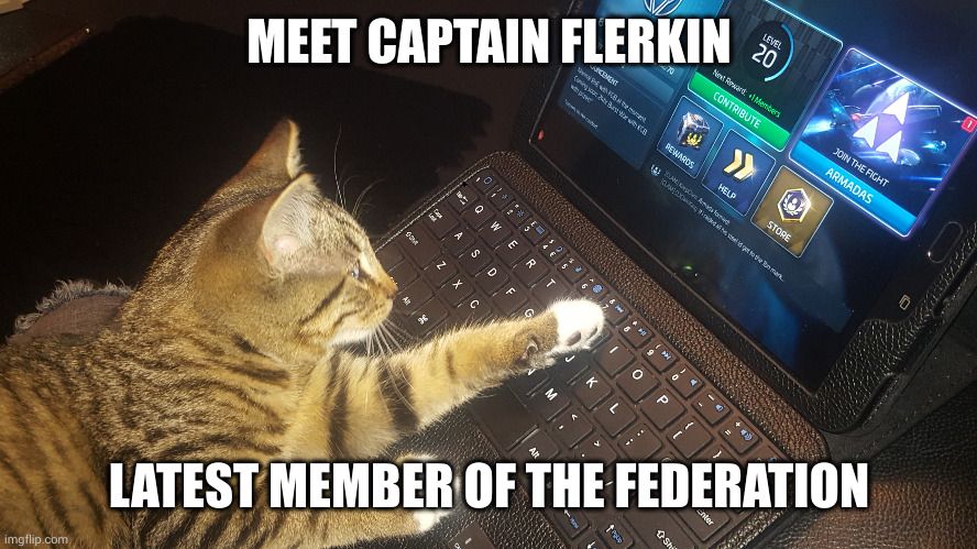 Flerkin joins Starfleet | MEET CAPTAIN FLERKIN; LATEST MEMBER OF THE FEDERATION | image tagged in cat playing star trek fleet command,flerkin,star trek,memes,everyone is welcome,we bite | made w/ Imgflip meme maker