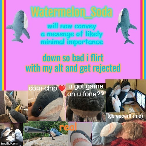 soda's gayass blahaj temp | down so bad i flirt with my alt and get rejected; real | image tagged in soda's gayass blahaj temp | made w/ Imgflip meme maker