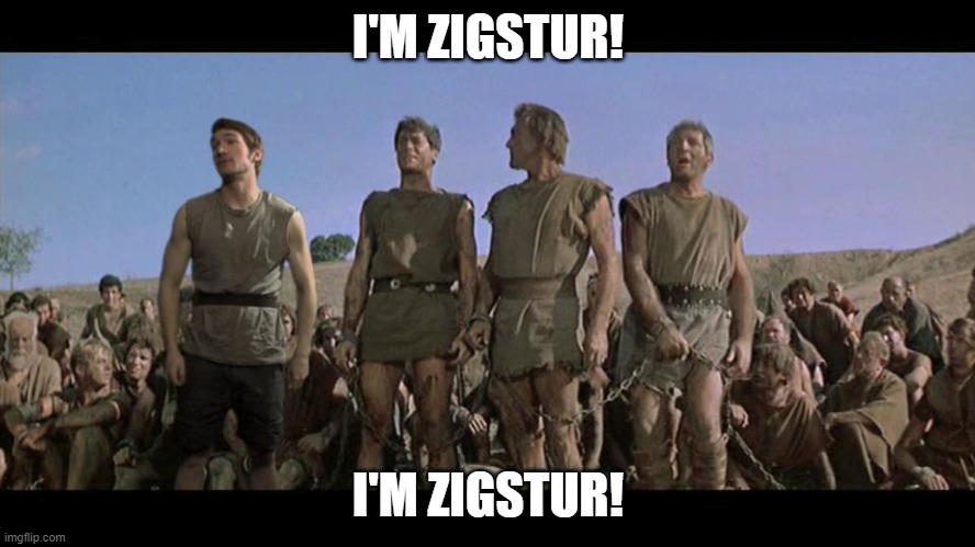 I am Spartacus | I'M ZIGSTUR! I'M ZIGSTUR! | image tagged in i am spartacus | made w/ Imgflip meme maker