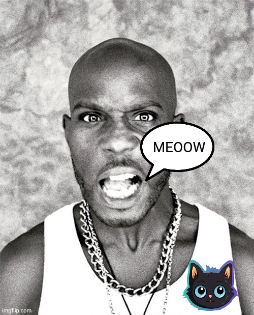 DMX Yell | MEOOW | image tagged in dmx yell | made w/ Imgflip meme maker