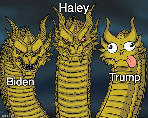 Two are capable of compromise and one sure isn't | Haley; Trump; Biden | image tagged in three-headed dragon,memes,politics,joe biden,donald trump,nikki haley | made w/ Imgflip meme maker