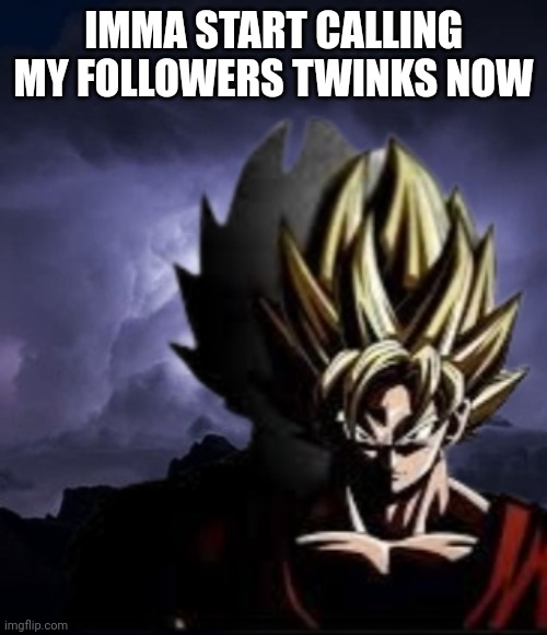 Some of them at least | IMMA START CALLING MY FOLLOWERS TWINKS NOW | image tagged in lowteirgoku | made w/ Imgflip meme maker