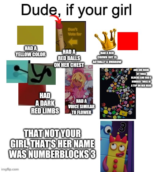 Yes | HAD A YELLOW COLOR; HAD A RED CROWN BUT IS ACTUALLY A UNIBROW; HAD A RED BALLS ON HER CHEST; AND SHE MADE OF THREE BLOCKS AND HAD A NUMBER THREE IN A TOP ON HER HEAD; HAD A DARK RED LIMBS; HAD A VOICE SIMILAR TO FLOWER; THAT NOT YOUR GIRL, THAT'S HER NAME WAS NUMBERBLOCKS 3 | image tagged in dude if your girl | made w/ Imgflip meme maker