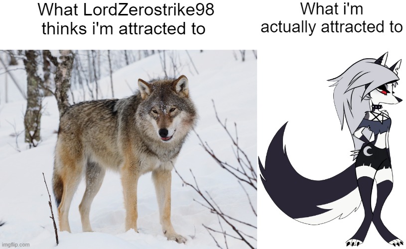 If you see LordZerostrike98 say i'm a zoophile, he's lying. Characters like Loona are sapient with human feelings | What LordZerostrike98 thinks i'm attracted to; What i'm actually attracted to | image tagged in memes,furry memes,helluva boss | made w/ Imgflip meme maker