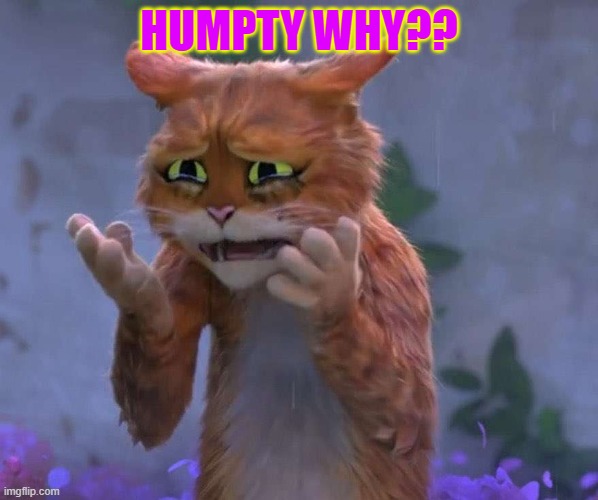 Puss in Boots cry | HUMPTY WHY?? | image tagged in puss in boots cry | made w/ Imgflip meme maker