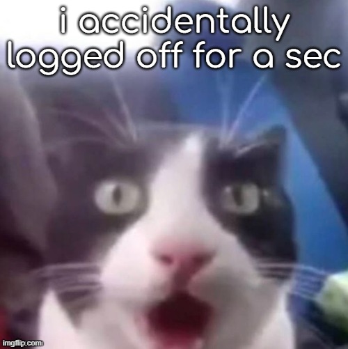 cat shocked | i accidentally logged off for a sec | image tagged in cat shocked | made w/ Imgflip meme maker