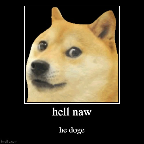 hell naw | he doge | image tagged in funny,demotivationals | made w/ Imgflip demotivational maker