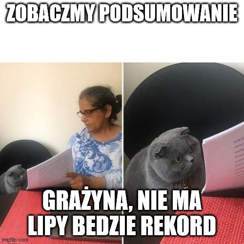 A Woman That Show A Cat His Test | ZOBACZMY PODSUMOWANIE; GRAŻYNA, NIE MA LIPY BEDZIE REKORD | image tagged in a woman that show a cat his test | made w/ Imgflip meme maker