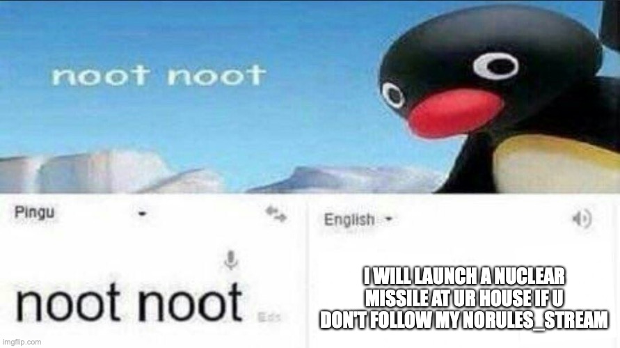 noot noot google translate | I WILL LAUNCH A NUCLEAR MISSILE AT UR HOUSE IF U DON'T FOLLOW MY NORULES_STREAM | image tagged in noot noot google translate | made w/ Imgflip meme maker
