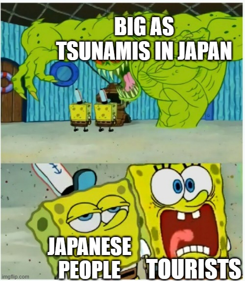 SpongeBob SquarePants scared but also not scared | BIG AS TSUNAMIS IN JAPAN; TOURISTS; JAPANESE PEOPLE | image tagged in spongebob squarepants scared but also not scared | made w/ Imgflip meme maker