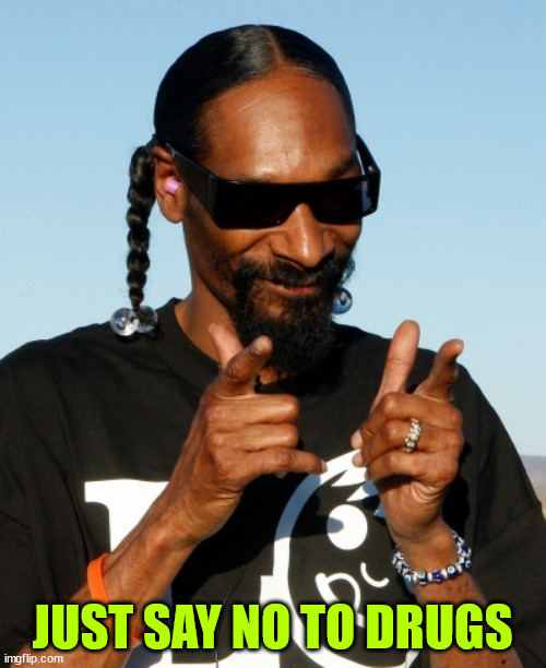 Snoop Dogg approves | JUST SAY NO TO DRUGS | image tagged in snoop dogg approves | made w/ Imgflip meme maker