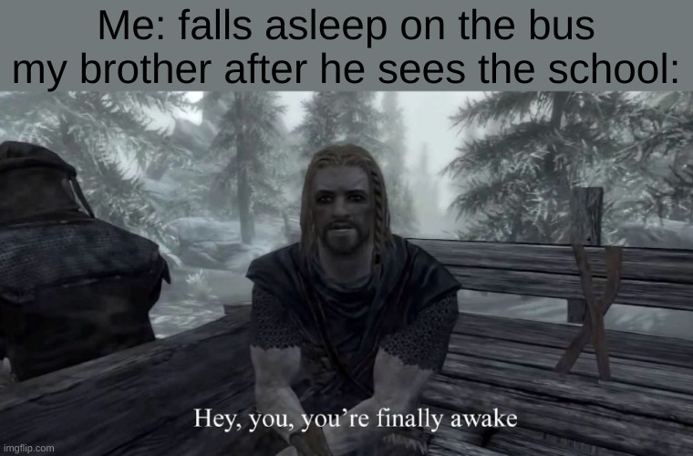 i swear sleeping on the bus is just fast travelling | Me: falls asleep on the bus
my brother after he sees the school: | image tagged in your finally awake | made w/ Imgflip meme maker