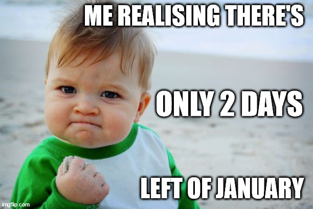 Success Kid Original Meme | ME REALISING THERE'S; ONLY 2 DAYS; LEFT OF JANUARY | image tagged in memes,success kid original | made w/ Imgflip meme maker
