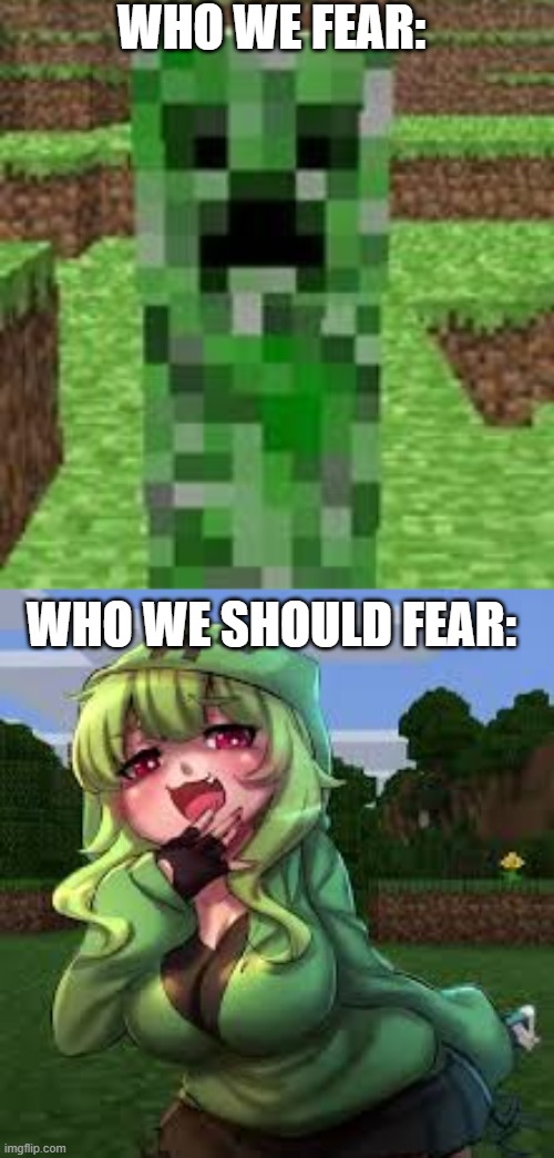 WHO WE FEAR:; WHO WE SHOULD FEAR: | image tagged in creeper | made w/ Imgflip meme maker