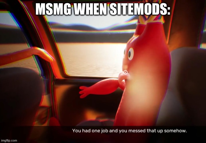 You had one job banban | MSMG WHEN SITEMODS: | image tagged in you had one job banban | made w/ Imgflip meme maker