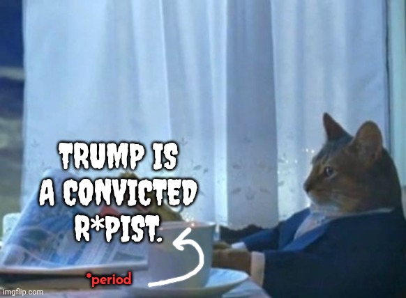 Period. | TRUMP IS A CONVICTED R*PIST. *period | image tagged in memes,i should buy a boat cat,trump unfit unqualified dangerous,lock him up,deplorable donald,disgusting | made w/ Imgflip meme maker