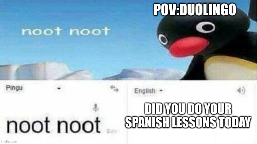 uh oh | POV:DUOLINGO; DID YOU DO YOUR SPANISH LESSONS TODAY | image tagged in noot noot google translate | made w/ Imgflip meme maker