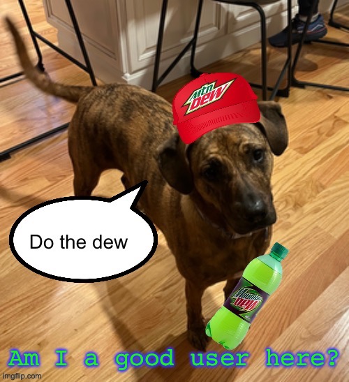 Do the dew | Am I a good user here? | image tagged in do the dew | made w/ Imgflip meme maker