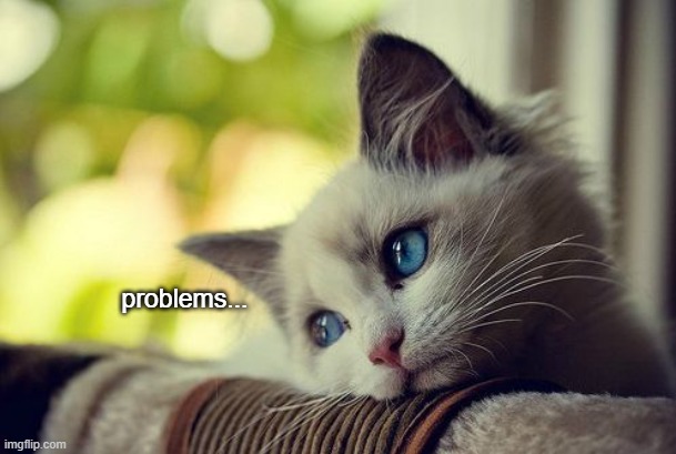 First World Problems Cat Meme | problems... | image tagged in memes,first world problems cat | made w/ Imgflip meme maker