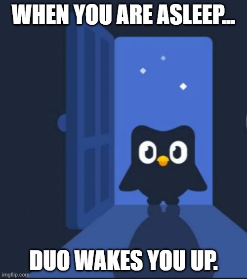 Duo When you are Asleep | WHEN YOU ARE ASLEEP... DUO WAKES YOU UP. | image tagged in duolingo bird | made w/ Imgflip meme maker