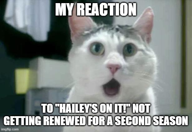 But yet, "Velma" survives. | MY REACTION; TO "HAILEY'S ON IT!" NOT GETTING RENEWED FOR A SECOND SEASON | image tagged in memes,omg cat,hailey's on it,cancelled,disney,disney channel | made w/ Imgflip meme maker