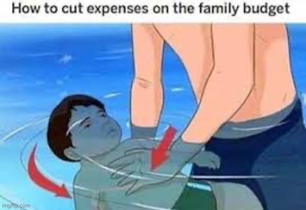 How to cut family budget | made w/ Imgflip meme maker