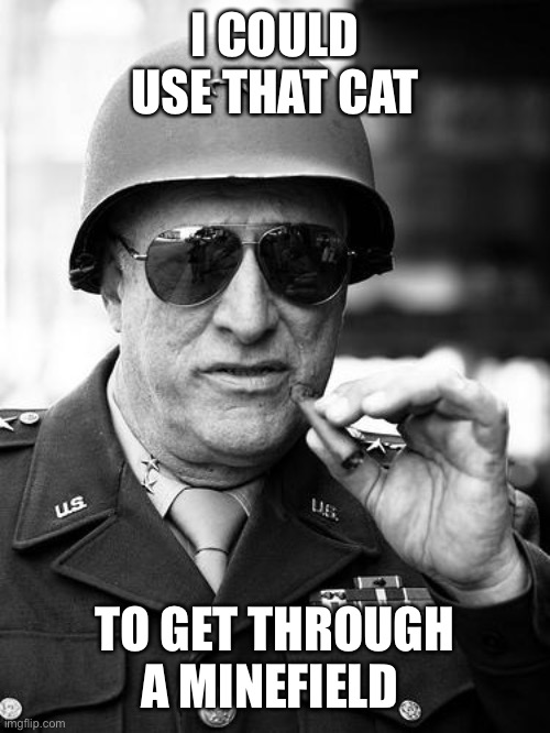 Gen. George  Patton | I COULD USE THAT CAT TO GET THROUGH A MINEFIELD | image tagged in gen george patton | made w/ Imgflip meme maker