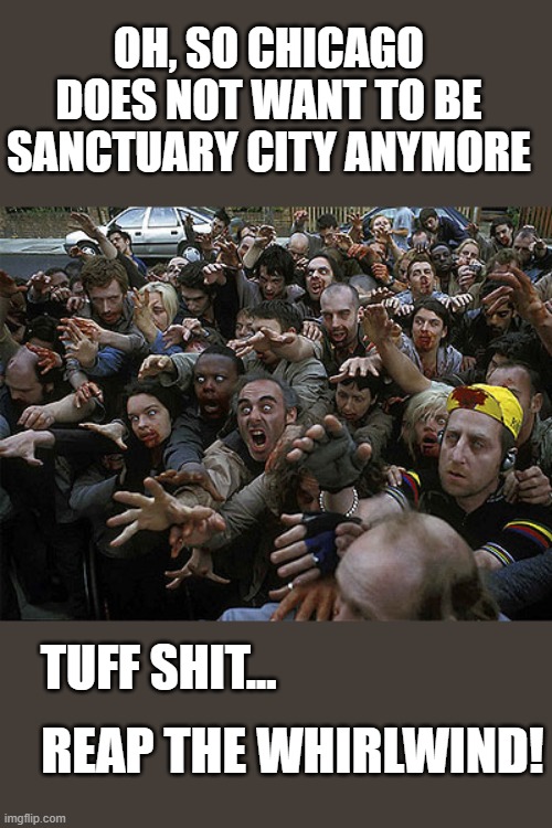 yep | OH, SO CHICAGO DOES NOT WANT TO BE SANCTUARY CITY ANYMORE; TUFF SHIT... REAP THE WHIRLWIND! | image tagged in democrats | made w/ Imgflip meme maker