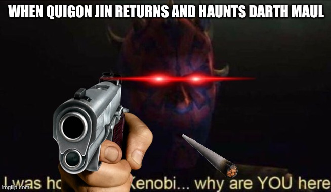 WHERE IN THE NAME OF THE FORCE IS HE!?!?!? | WHEN QUIGON JIN RETURNS AND HAUNTS DARTH MAUL | image tagged in i was hoping for kenobi,darth maul | made w/ Imgflip meme maker