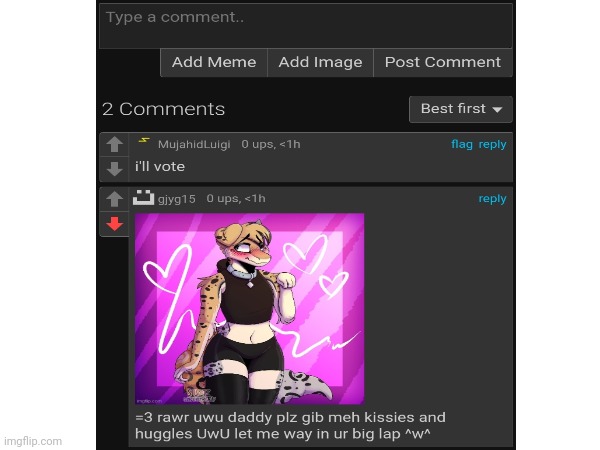 Made the comment on a political meme, wtf | image tagged in wtf,cringe,funny,furry | made w/ Imgflip meme maker
