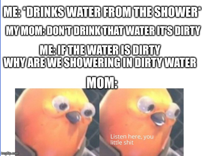 oop | ME: *DRINKS WATER FROM THE SHOWER*; MY MOM: DON'T DRINK THAT WATER IT'S DIRTY; ME: IF THE WATER IS DIRTY WHY ARE WE SHOWERING IN DIRTY WATER; MOM: | image tagged in listen here you little shit | made w/ Imgflip meme maker